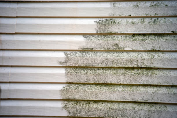 Best Brick Veneer Siding  in West Salem, OH